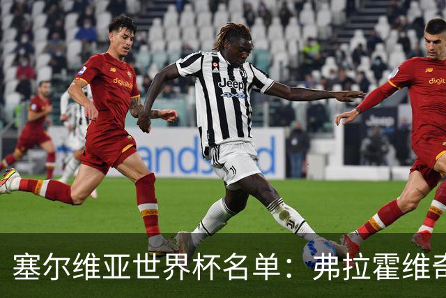 塞尔维亚世界杯名单：弗拉霍维奇领衔 古德利在列